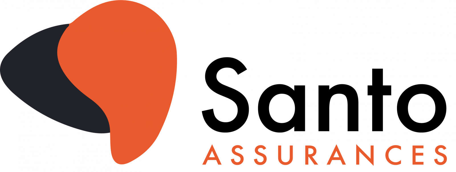 Logo minisite